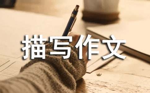 如何通过奖励机制提升篮球训练的趣味性_1